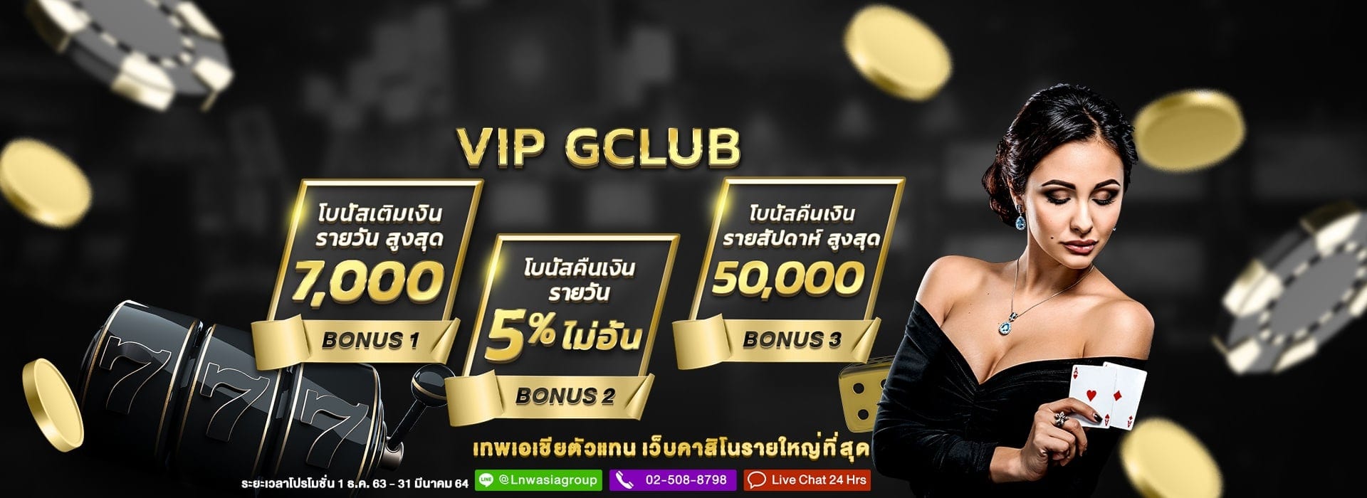 VIP Promo